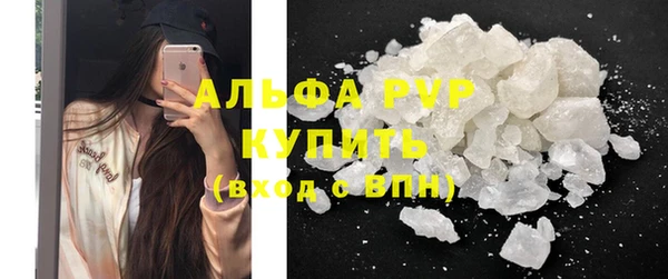 прущие грибы Липки