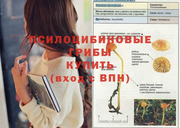 кокаин премиум Баксан