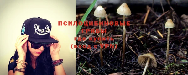 эйфоретик Балахна