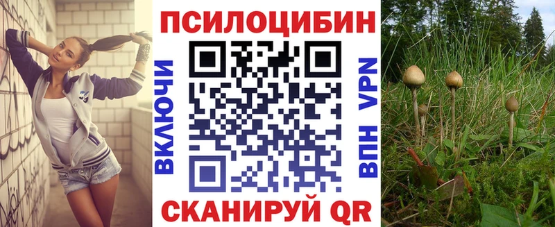 blacksprut tor  Белореченск  Псилоцибиновые грибы мицелий 